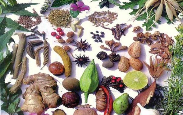 گیاهان دارویی که قاتل چربی خون بالا هستند